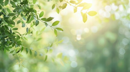 Green Leaf with Blurred Greenery and Sunlight Background 