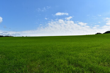 北海道の草原地帯