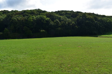 北海道の草原地帯