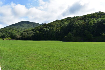 北海道の草原地帯
