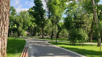 moldova, chisinau, park, ruins, repairs, stairs, fountain, steps, gazebo, trees, forest, grass, sun, summer