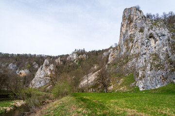 The Stiegelesfels-Oberes Donautal, district of Tuttlingen, Baden-Württemberg , Germany