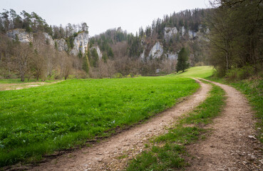 The Stiegelesfels-Oberes Donautal, district of Tuttlingen, Baden-Württemberg , Germany