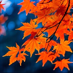 autumn leaves background