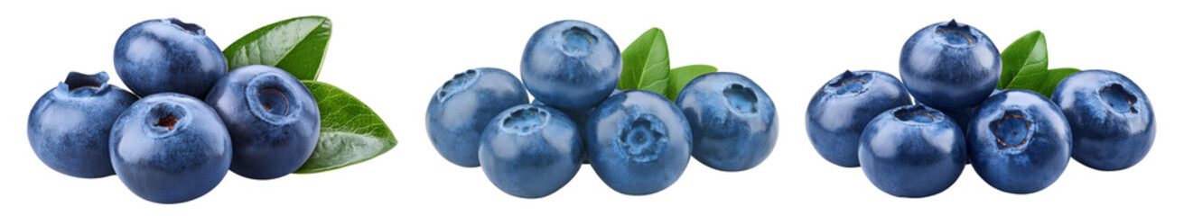 Obraz premium blueberries with leaf collection isolated white background