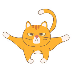Orange Cat Yoga