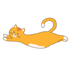 Orange Cat Yoga