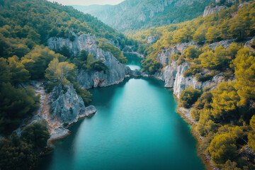 Aerial view of the water