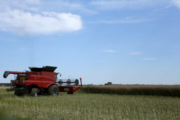 Fototapeta premium Moissonneuse batteuse en moisson dans un champ