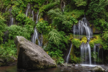 Naklejka premium 山梨県北斗市 新緑の吐竜の滝 