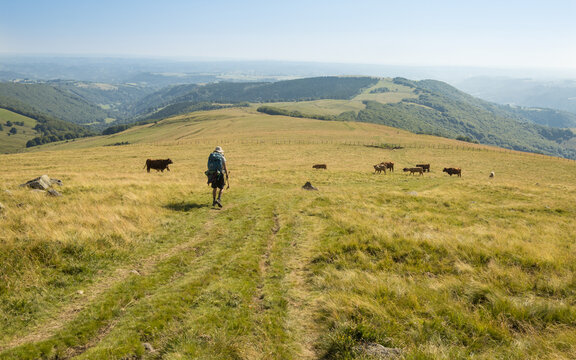 randonneur sur le GR400, le tour des monts du Cantal en &eacute;t&eacute;, avec vue sur les volcans cantaliens autour du Puy Gros