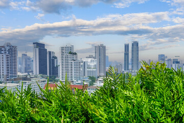 Fototapeta premium Beautiful landscaping plants fern on roof in the city background, ecology