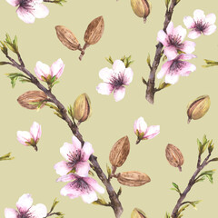 Watercolor Almond tree branch with nuts, leaves and flowers. Botanical spring seamless pattern. Hand drawn illustration. Floral print for wallpaper, packaging, textile on isolated coloured background