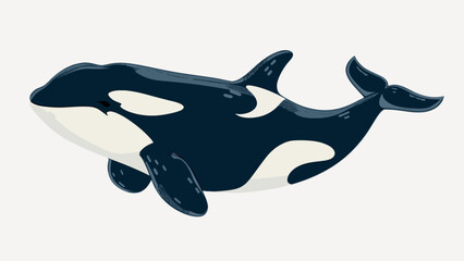 Obraz premium Orca illustration marine life