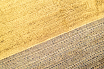 Ripe summer wheat field next to a plowed field, aerial drone zenithal view. Textured background, agricultural concept