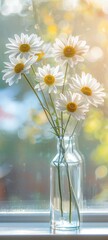 Tranquil Morning Light with Fresh Daisy Arrangement on Window Sill