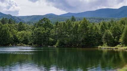 針葉樹林が反射する八千穂レイク【北八ヶ岳・八千穂高原】日本長野県