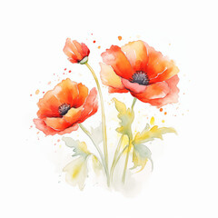 A delicate watercolor painting of vibrant poppy flowers, capturing the beauty and elegance of nature.