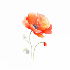 A delicate watercolor illustration of a single red-orange flower with soft, subtle details.