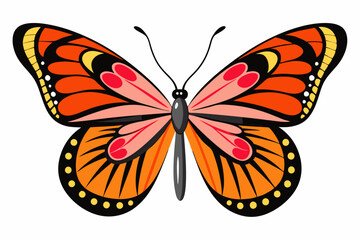 Orange and Pink Butterfly with Black and Yellow Markings