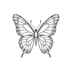 A black and white drawing of a butterfly with a black background