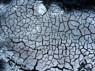 Changes, shapes and lines formed by the burning of the mushroom in the fire