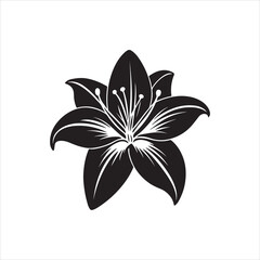 Lily Black And White Vector Images