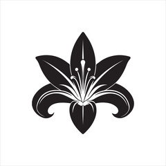 Lily Black And White Vector Images