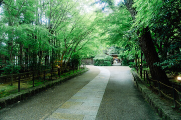 京都の宇治上神社の風景