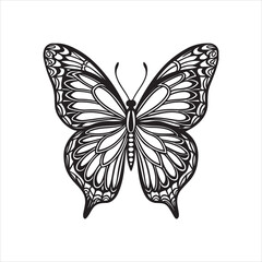 A black and white drawing of a butterfly with a black background