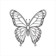 A black and white drawing of a butterfly with a black background