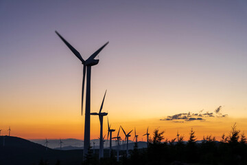 Obraz premium Wind turbines in the evening