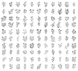 big set of hand drawn herbs and wild flowers, doodle floral icon collection