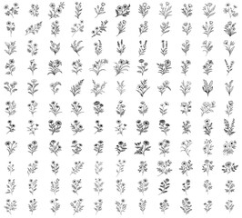 minimalistic plant motifs, flowers and herbs doodle style, black decorative vector big collection icon set