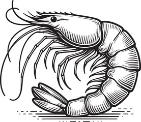 Shrimp Silhouette isolated on white background Minimalist crayfish vector shape