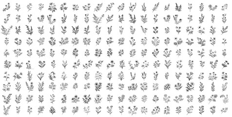 collection of hand drawn doodle flowers, branches and herbs with editable stroke, luxury floral line art for wedding invitations and creative projects