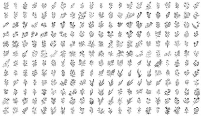Fototapeta premium collection of various flowers and branches with editable flat stroke, luxury floral line art set for wedding invitation design, save the date card template, botanical lined vector illustration