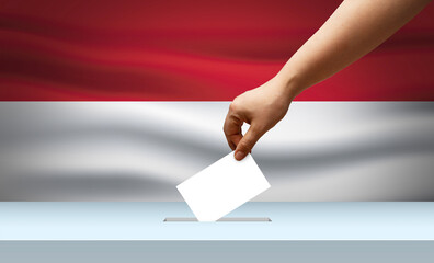 Monaco elections and voting capacity