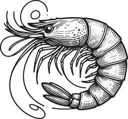 Shrimp Silhouette isolated on white background Minimalist crayfish vector shape