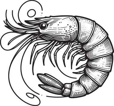 recommend clip art: Shrimp Silhouette isolated on white background Minimalist crayfish vector shape