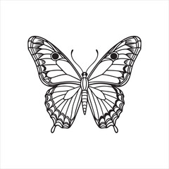 A black and white drawing of a butterfly with a black background
