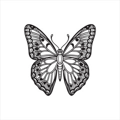 A black and white drawing of a butterfly with a black background