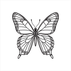 A black and white drawing of a butterfly with a black background