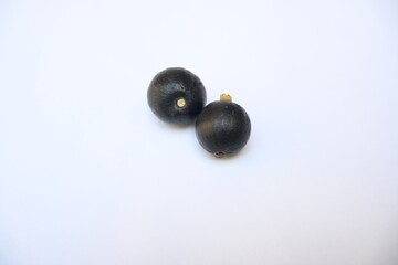 Alangium salvifolium or sage leaved alangium tree fruit. It is is a flowering plant in the Cornaceae family. wildfruit on white background. 