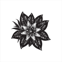 Lily Black And White Vector Images