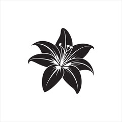 Lily Black And White Vector Images