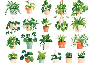 A collection of small potted plants on a clean white surface, perfect for decorative or educational purposes