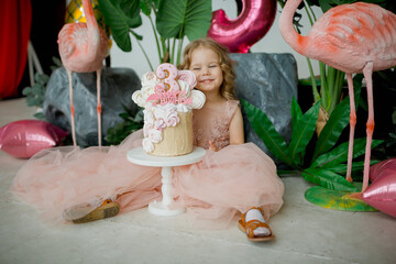birthday cake and pink decor for little girl