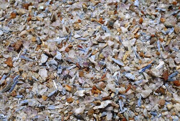 Small shards of various semi precious stones mixed together. Full frame, background and texture.