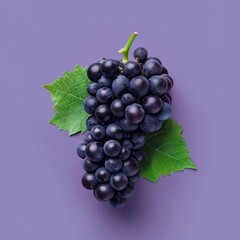 Fototapeta premium Black Wine grape isolated on purple background, Kyoho Grape with leaves isolated on purple With clipping path,